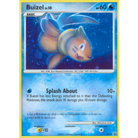 Buizel DP13 Black Star Promo Holo Pokemon Card NEAR MINT TCG