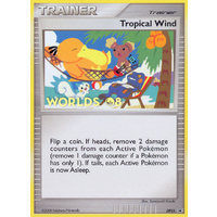 Tropical Wind DP25 Black Star Promo Holo Pokemon Card NEAR MINT TCG