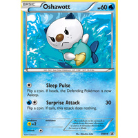 Oshawott BW08 Bw Black Star Promo Pokemon Card NEAR MINT TCG