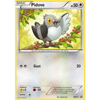 Pidove BW15 BW Black Star Promo Pokemon Card NEAR MINT TCG