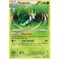 Serperior BW20 BW Black Star Promo Pokemon Card NEAR MINT TCG