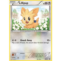 Lillipup BW52 BW Black Star Promo Pokemon Card NEAR MINT TCG