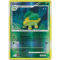 Grotle 49/130 DP Base Set Reverse Holo Uncommon Pokemon Card NEAR MINT TCG