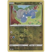 Bagon 107/203 SWSH Evolving Skies Reverse Holo Common Pokemon Card NEAR MINT TCG